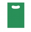 VLPK - SACOLA PIGMENTADA AV. 16 X 20 VERDE - FD.10X50UN